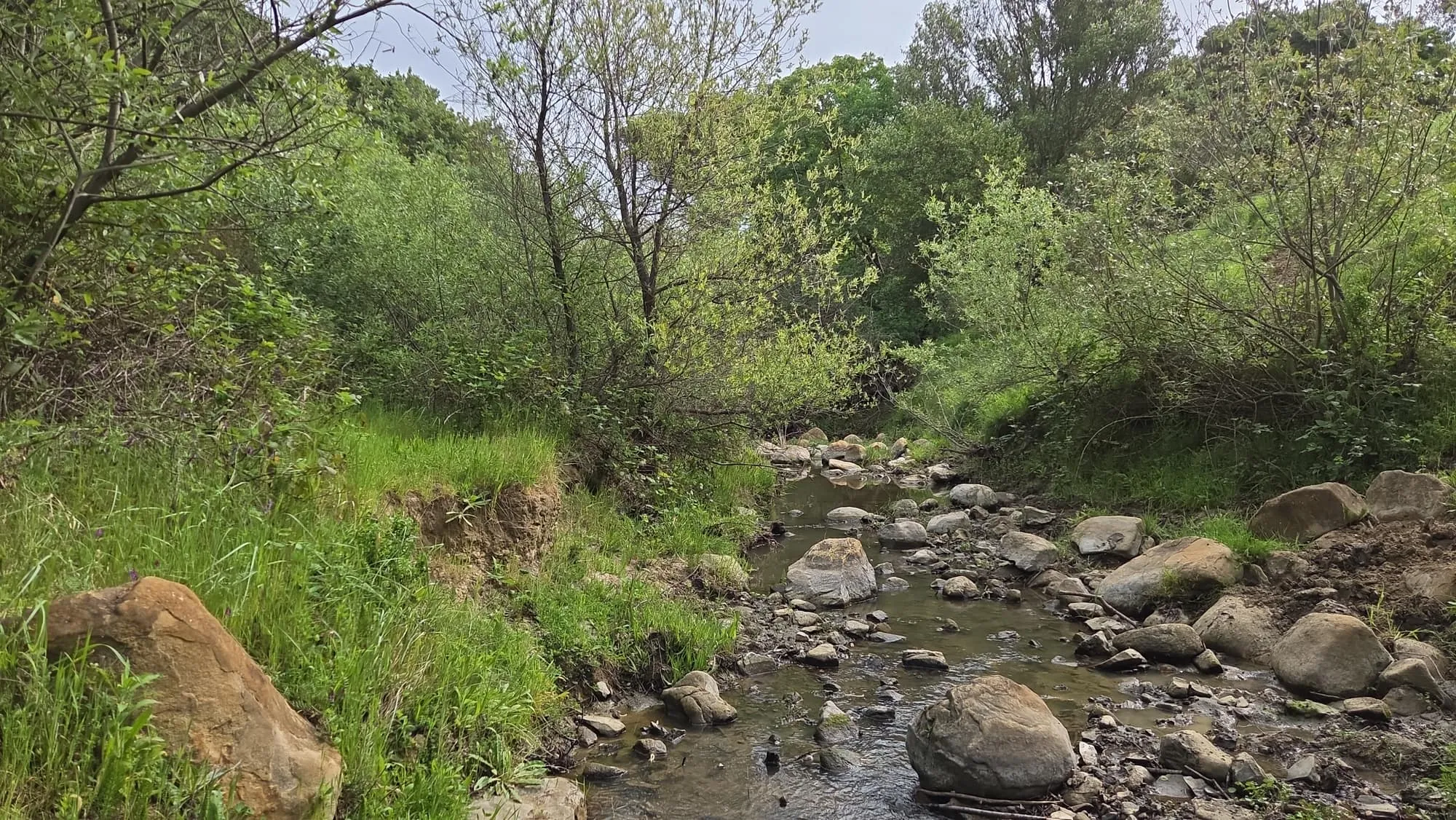 A rocky creek running through green banks at a GSLC-protected preserve