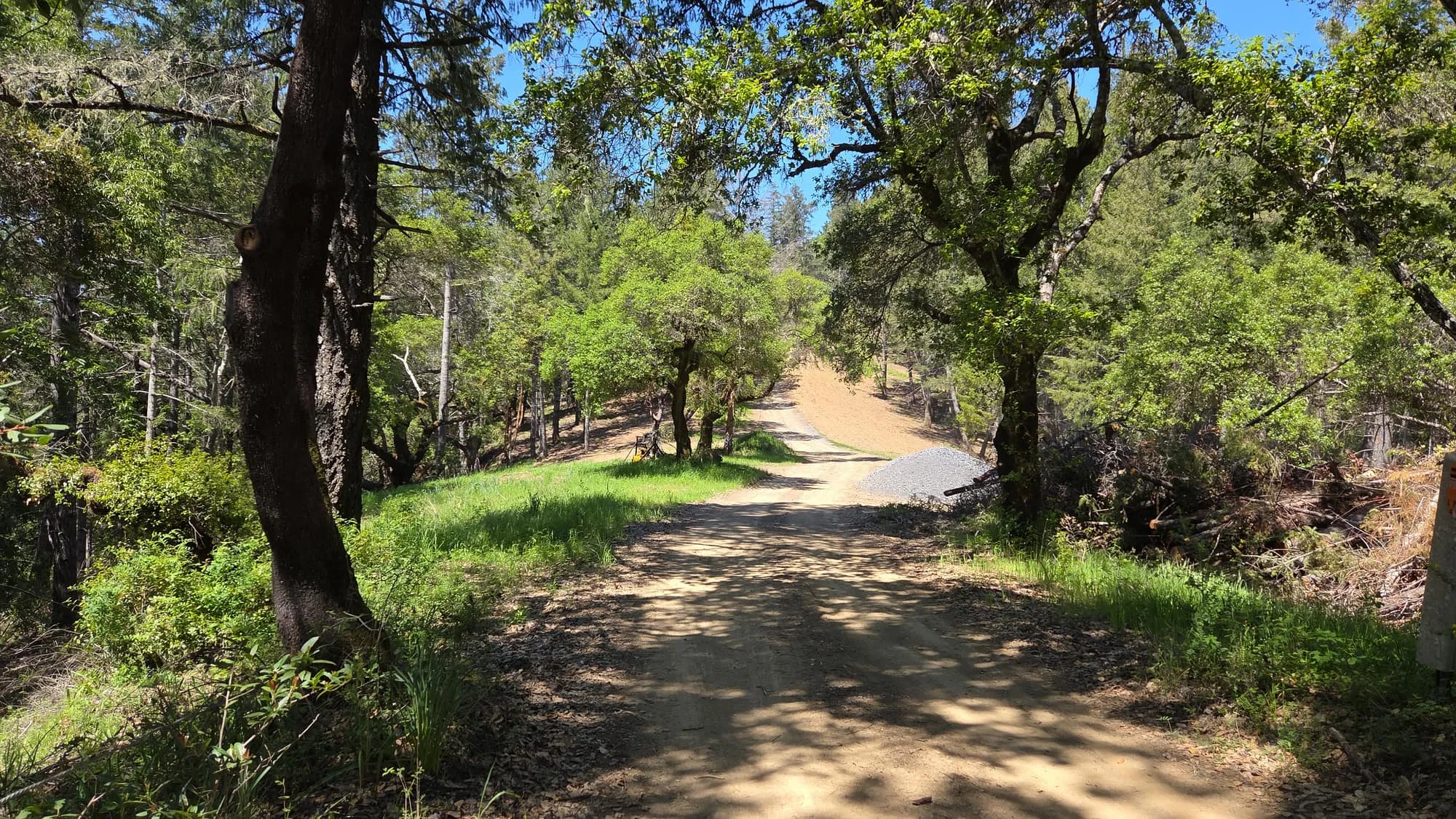 A shaded trail winding through green trees at a GSLC-protected preserve
