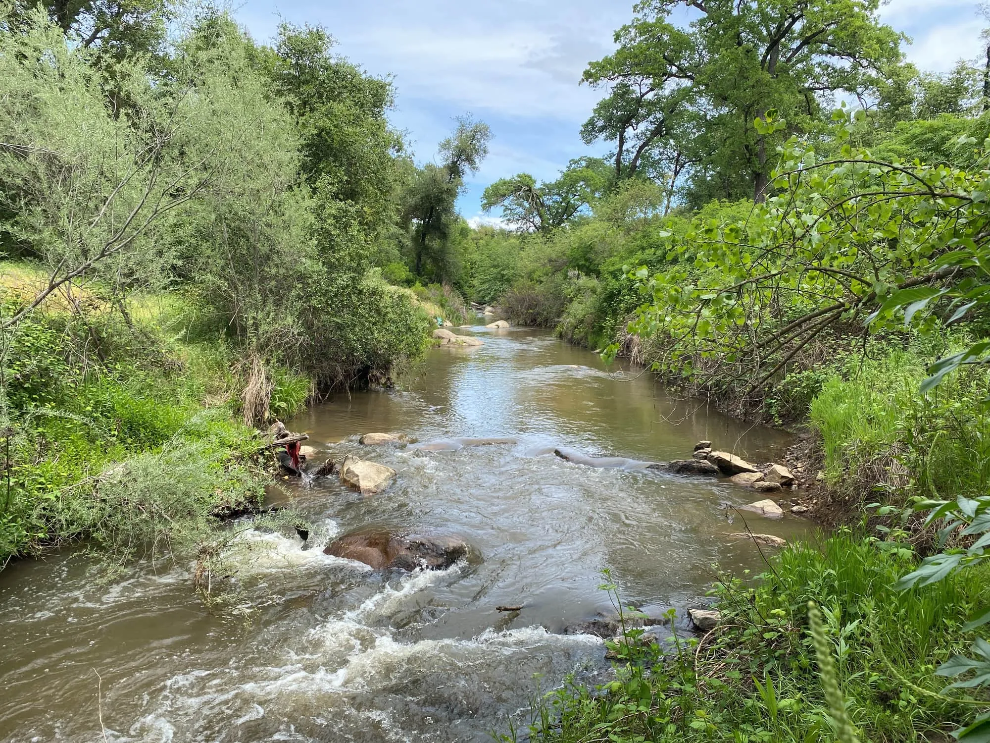 A creek flowing over rocks through green banks at a GSLC-protected preserve