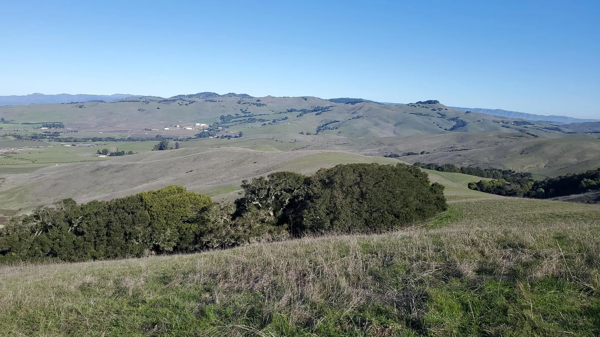Green rolling rangeland hills under a blue sky at a GSLC-protected property
