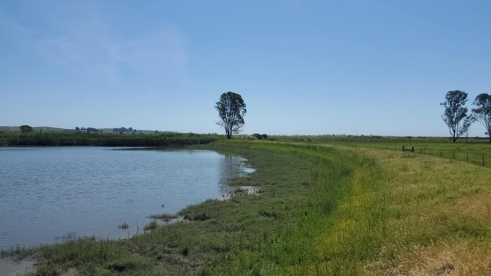 A calm lake bordered by green banks on a GSLC-protected preserve