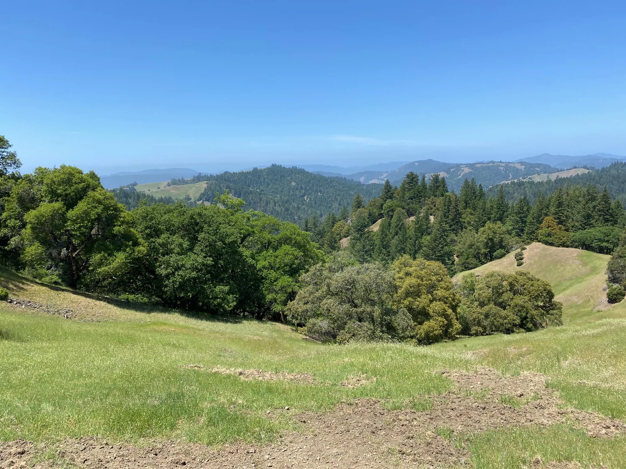 A green meadow and oak-forested ridgelines rolling toward the coast at a GSLC-protected preserve
