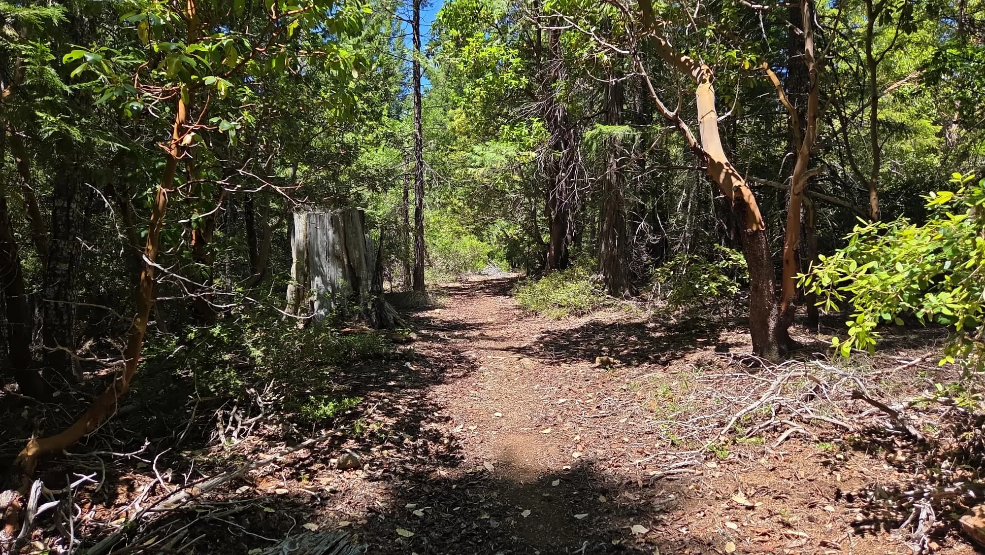 A forest trail through a GSLC-protected preserve