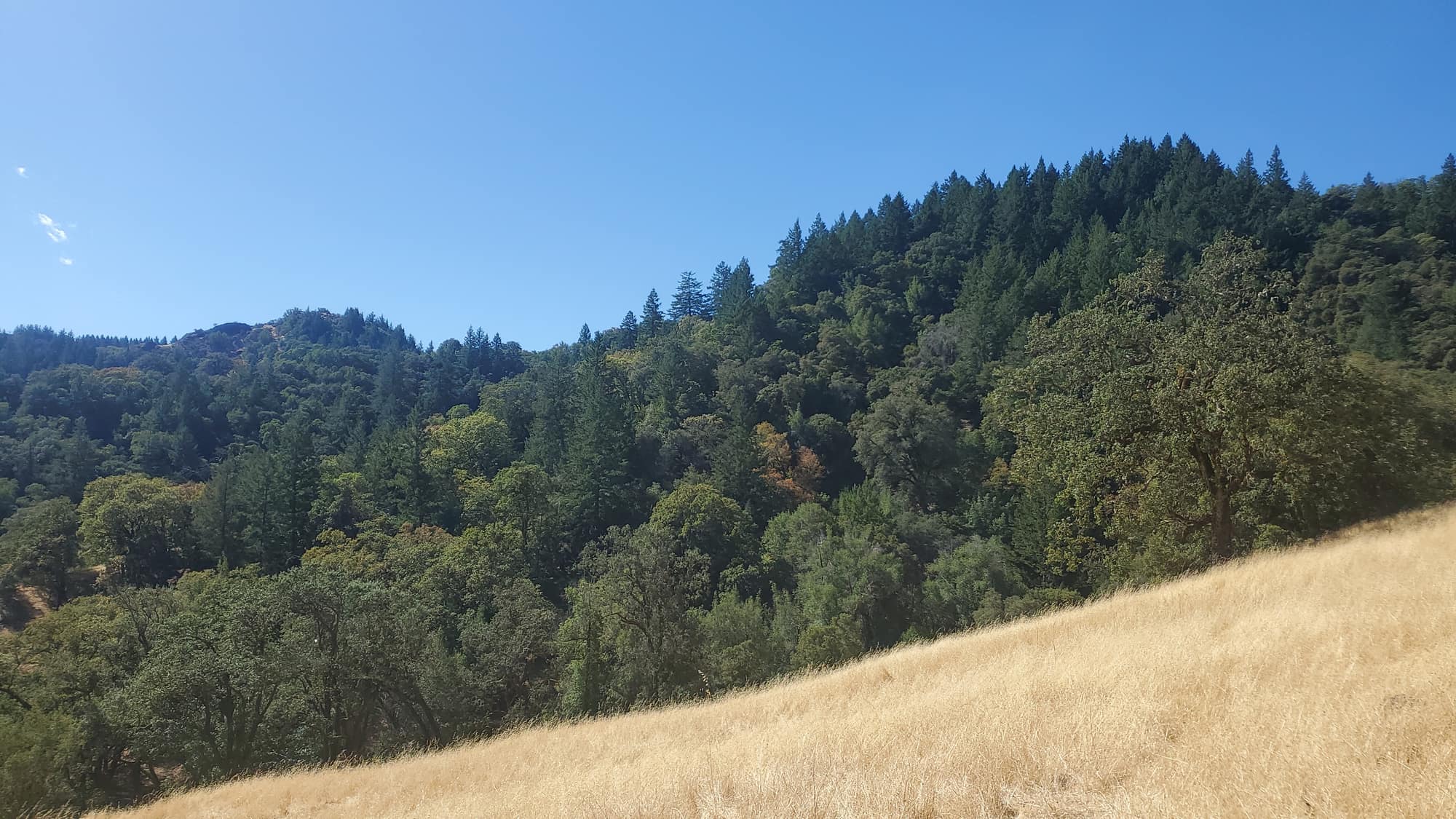 Forested hills rising above a grassland at a GSLC-protected preserve
